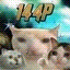Low Quality Memes Icon