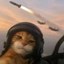 topguncat Icon