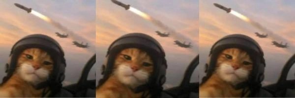 topguncat Token Header