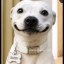 The Selfie Dog Icon