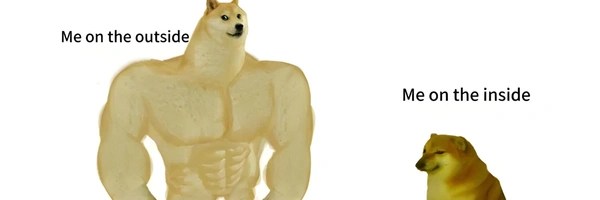 Swole Chad Doge Token Header