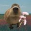 Capybara Icon