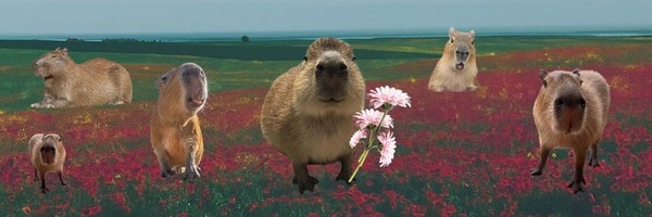 Capybara Token Header