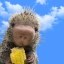 Rico the Porcupine Icon