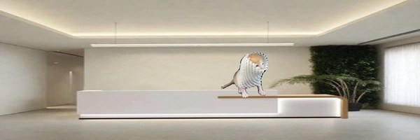 Wrapped Kitten Token Header