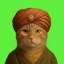 CatWifTurban Icon