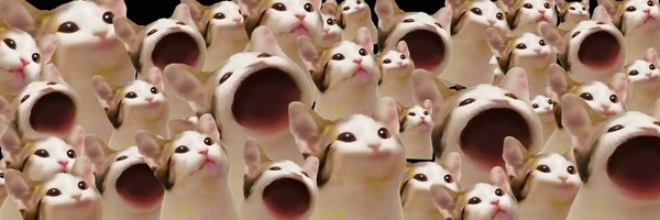 Popcat Token Header