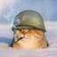Smoking War Cat Icon