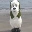 Wanwan The Dog Icon