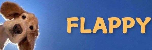 FLAPPY Token Header