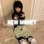 New Money Icon