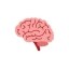Natural Intelligence Icon