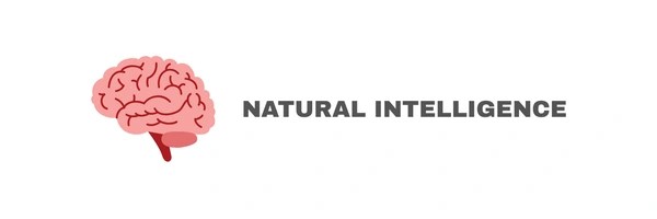Natural Intelligence Token Header