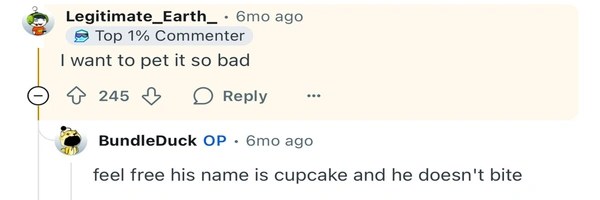 cupcake Token Header