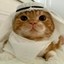 Oil Money Cat Icon