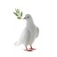 dove Icon