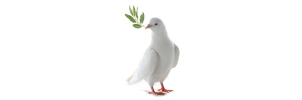 dove Token Header