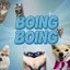 Boing Boing Icon