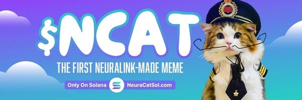 Neuracat Token Header