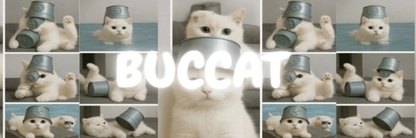 BUCCAT Token Header