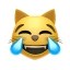 lmeow Icon