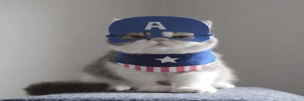 Catpain Amewica Token Header