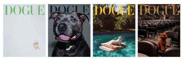 Dogue Token Header