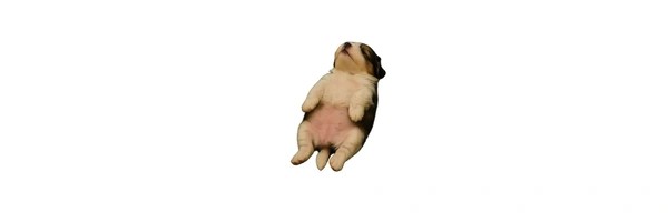 Sleepy Token Header