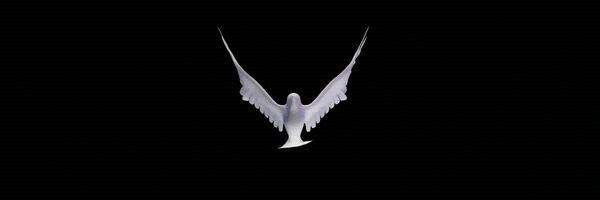 World Peace Mascot Token Header