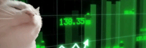 Vibe Cat Token Header