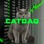 CATDAQ Icon