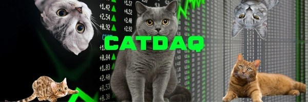 CATDAQ Token Header