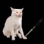 Original Bonk Cat Icon