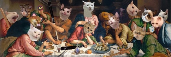 Original Bonk Cat Token Header