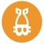 Bombcoin Icon