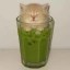 cats and matcha Icon
