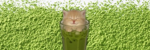 cats and matcha Token Header