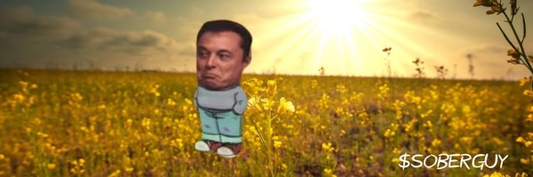 Just a sober guy Token Header