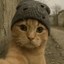 catwifnothing Icon