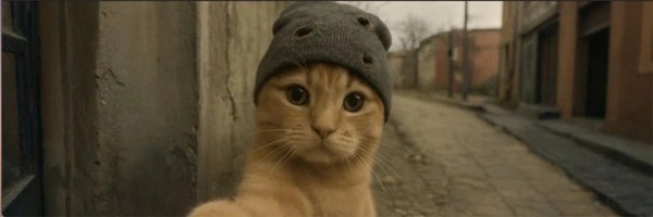 catwifnothing Token Header