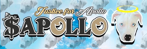 Justice For Apollo Token Header