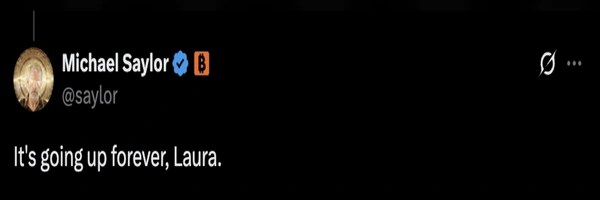 It's going up forever Laura Token Header