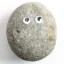 Pet Rock Icon