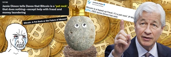 Pet Rock Token Header