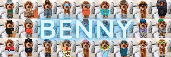 BENNY Token Header