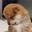 Chai Kefu Icon