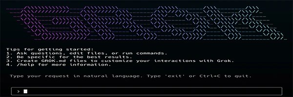 GrokCLI Token Header