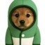 pupfun Icon