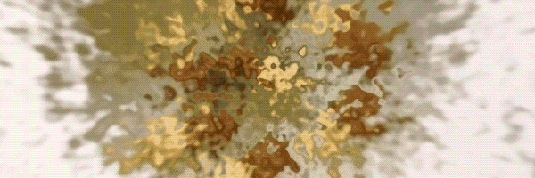 POOPFUN Token Header