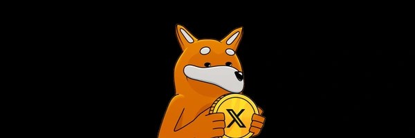 Launch Bonk Token Header